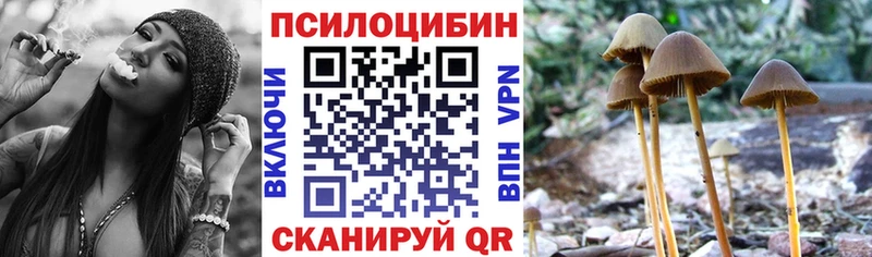закладка  Новая Ляля  Галлюциногенные грибы Psilocybe 